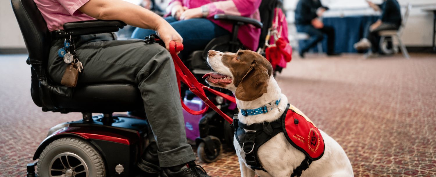 A Dog A.I.D. assistance dog with its owner at the Centre